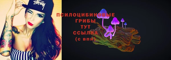 каннабис Дмитров