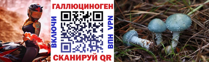 закладка  Микунь  Галлюциногенные грибы мицелий 